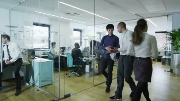 Junges kreatives Geschäftsteam, das in einem leichten modernen Büro zusammenarbeitet — Stockvideo