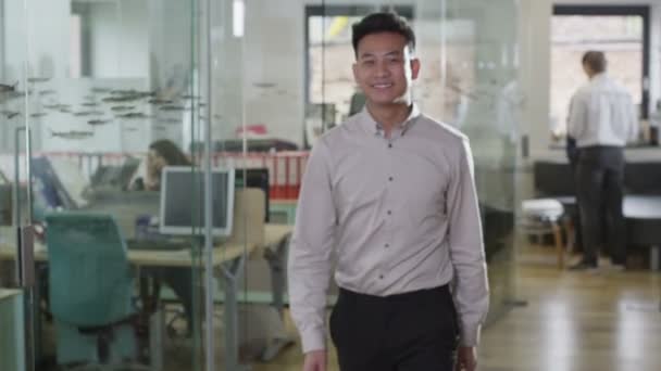 Portrait de jeune homme professionnel à la mode dans un bureau contemporain — Video