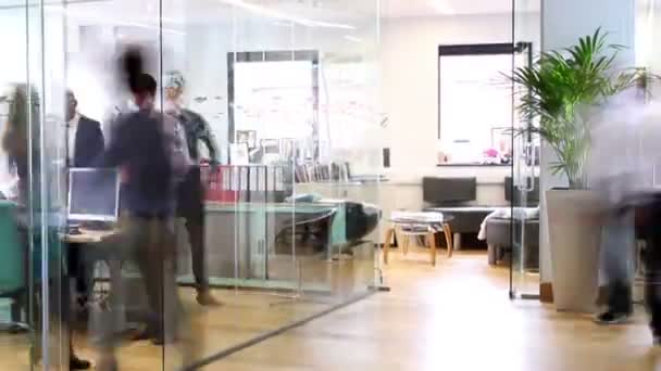 Equipo de negocios trabajando juntos en la oficina — Vídeo de stock