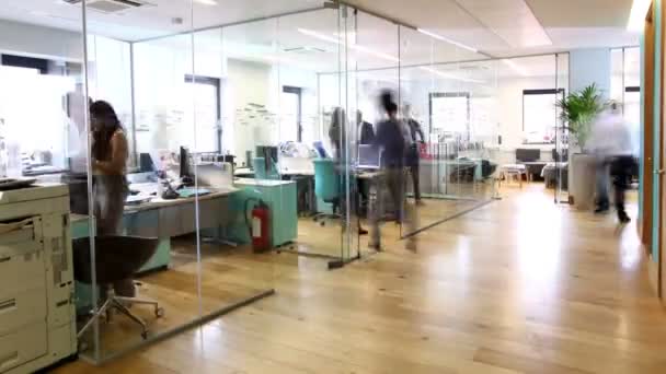 Бизнес-команда, работающая вместе в офисе — стоковое видео