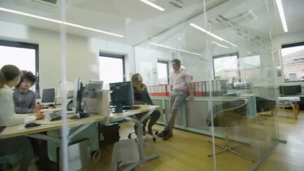 Young businesswoman walks past offices to take paperwork to her boss — Stock Video