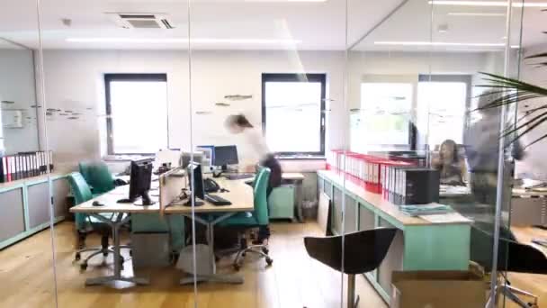 Geschäftsteam arbeitet im Büro zusammen — Stockvideo