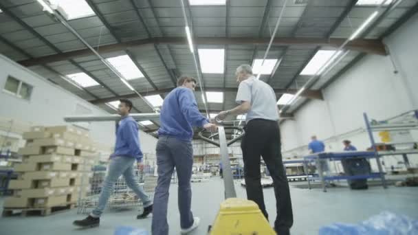 Equipe de trabalhadores de armazém que se deslocam em torno de paletes de mercadorias — Vídeo de Stock