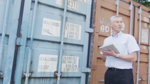 Businessman with digital tablet checking containers for shipping — Stock Video