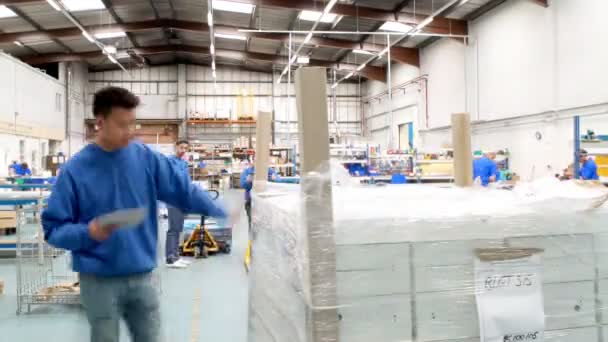 Trabajadores masculinos en almacén que preparan mercancías para su envío — Vídeo de stock