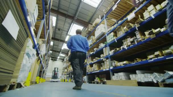 Team of male workers in warehouse or factory — Stock Video