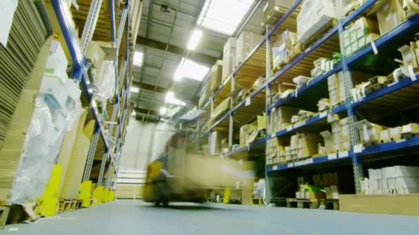 Male workers in warehouse preparing goods for dispatch — Stock Video