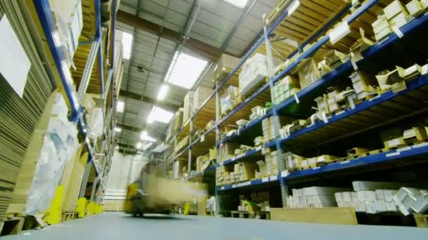 Workers in warehouse preparing goods for dispatch — Stock Video