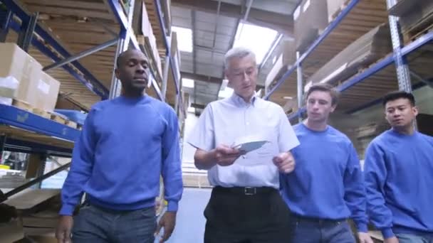 Équipe de travailleurs masculins dans l'entrepôt ou l'usine — Video