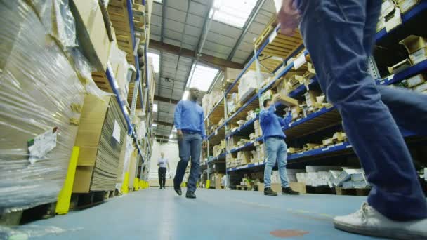 Team of male workers in warehouse or factory — Stock Video