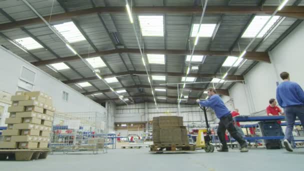Equipo de trabajadores de almacén que se mueven alrededor de paletas de mercancías — Vídeos de Stock