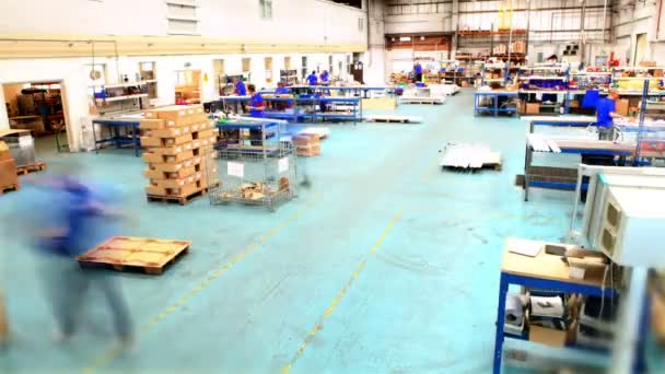 Male workers in warehouse preparing goods for dispatch — Stock Video