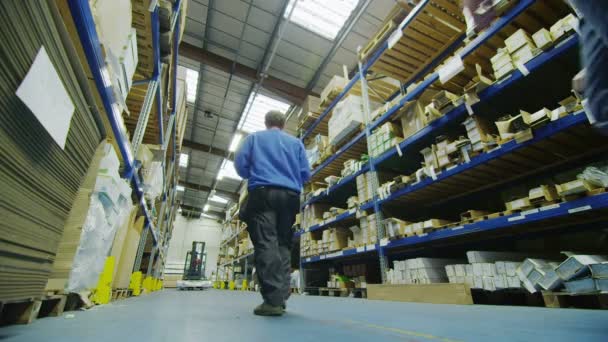 Male workers in warehouse preparing goods for dispatch — Stock Video