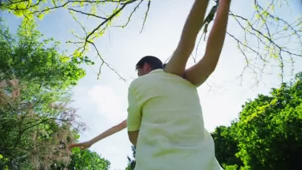 Jovencita siendo retenida y girada por su padre al aire libre en un día soleado — Vídeo de stock