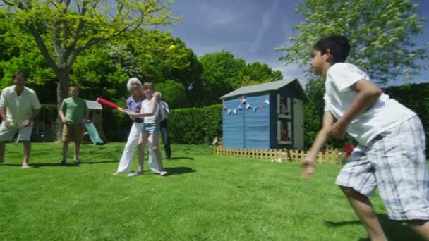 家族や友人の多くの世代の晴れた日には庭でスポーツを再生 — ストック動画