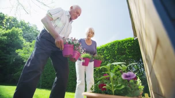 Gelukkige gepensioneerde paar tuinieren op een zomerdag — Stockvideo