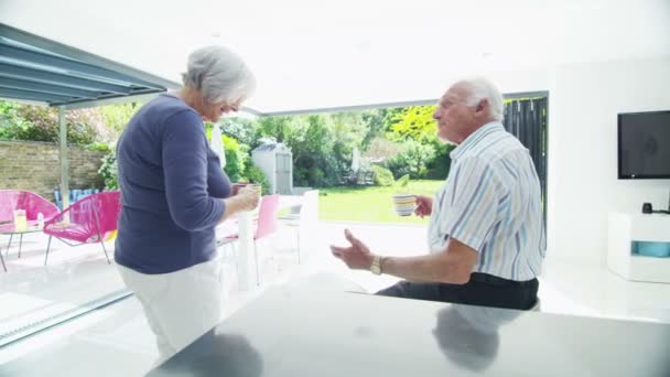 Romantiska äldre par omfamna och ser ut över trädgården av deras moderna hem — Stockvideo