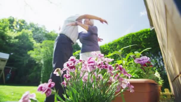 Felice coppia in pensione giardinaggio in una giornata estiva — Video Stock