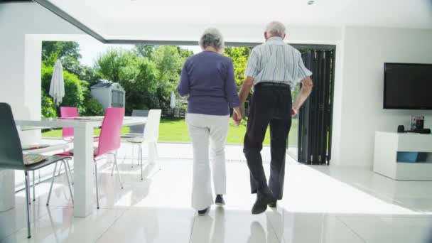 ロマンチックな年配のカップルの手を保持して、現代の家の庭で外を見る — ストック動画