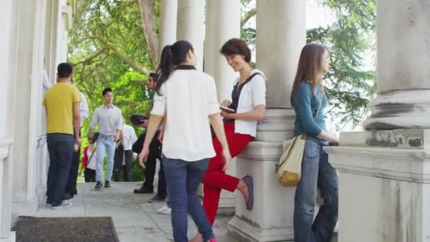 Grupo de estudantes em pausa entre as aulas — Vídeo de Stock