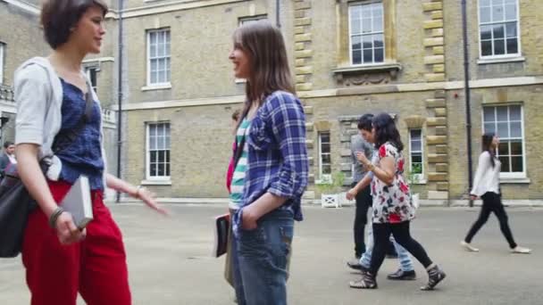 Students and teachers milling around outside university — Stock Video