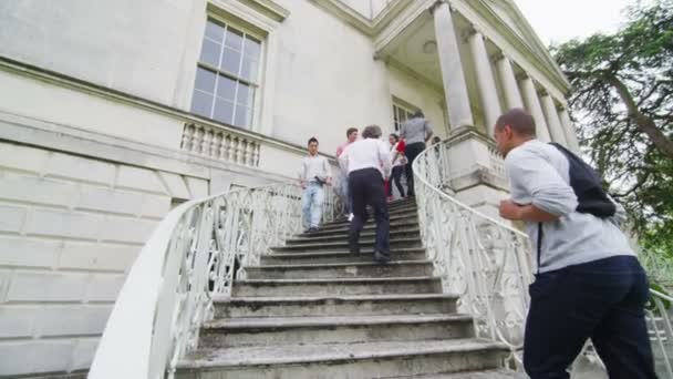 Estudiantes y profesores usando escalera — Vídeo de stock