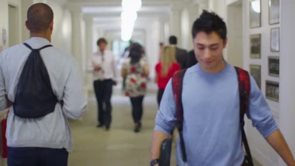 Mâle asiatique étudiant debout dans couloir — Video