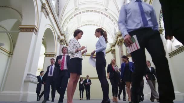 Vrouwelijke ondernemers staan en chat samen — Stockvideo