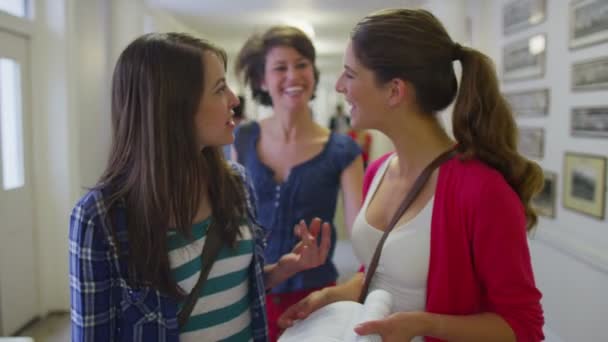 Les étudiantes discutent en marchant 