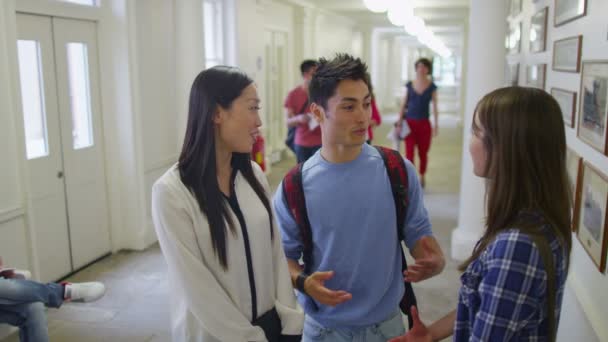 Students chatting in hallway — Stock Video