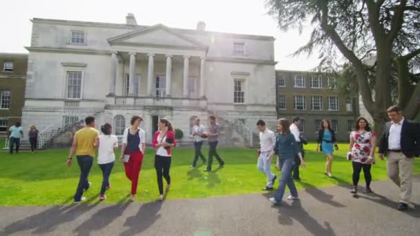 Studenten mit gemischter ethnischer Zugehörigkeit laufen durch die Universität — Stockvideo