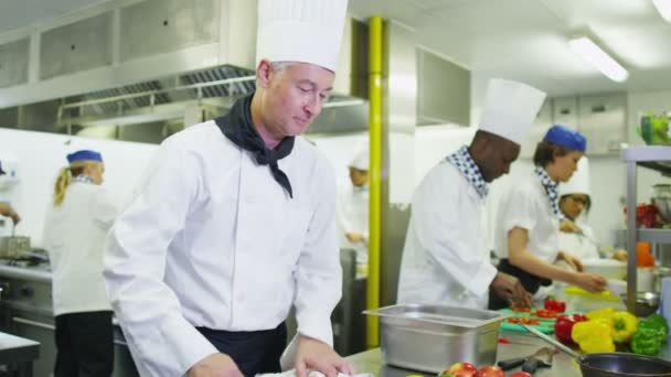 Retrato del chef sonriente en la cocina comercial — Vídeos de Stock