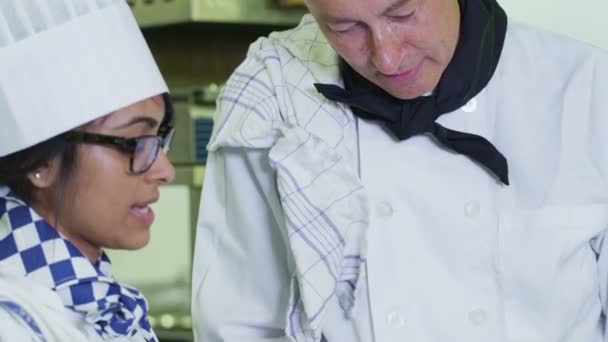 Chefs profissionais preparando alimentos — Vídeo de Stock
