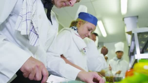 Equipo de chefs profesionales que preparan alimentos — Vídeos de Stock