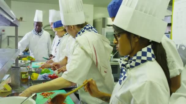 Chefs preparando alimentos — Vídeo de Stock