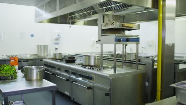 在商业的厨房里独自工作的成熟女厨师 — 图库视频影像