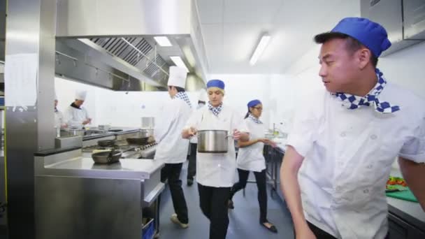 Equipe de etnia mista de chefs profissionais — Vídeo de Stock
