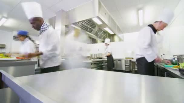 Zaneprázdněn tým kuchařů připravuje jídlo — Stock video