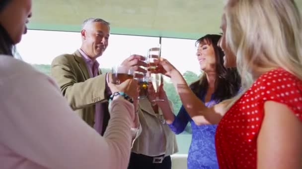 Různorodá skupina přátel zvýšit brýle pro toast — Stock video