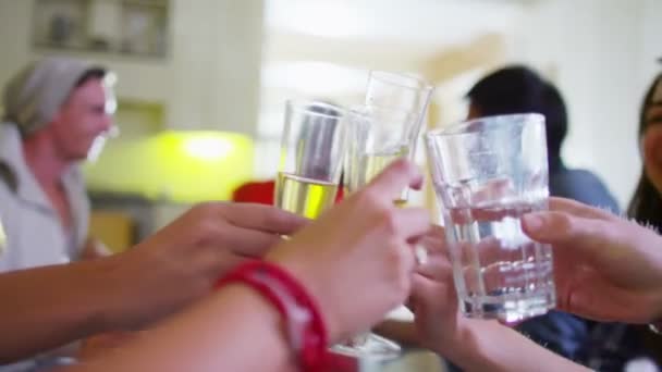 Группа друзей, общающихся и болтающих за выпивкой — стоковое видео