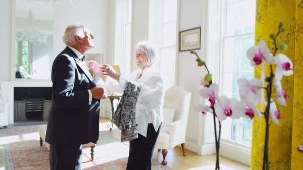 Äldre par i festkläder — Stockvideo