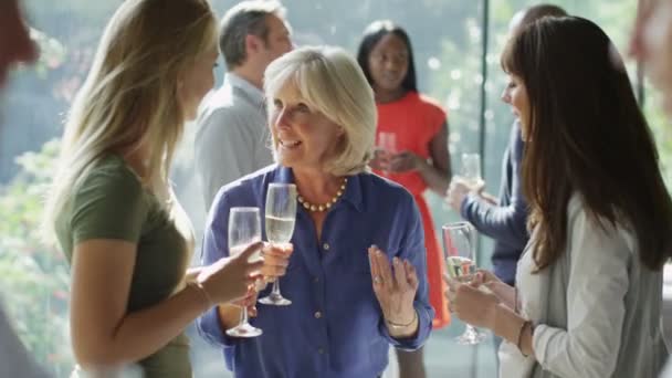 Amis bavarder & boire du vin à la fête 