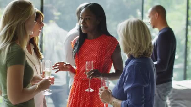 Amis bavarder & boire du vin à la fête 