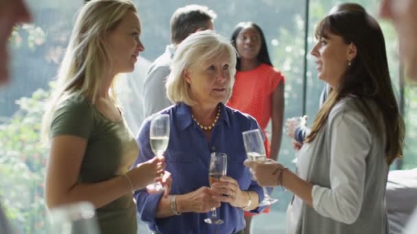 Vrienden chatten & drinken van wijn op feestje — Stockvideo