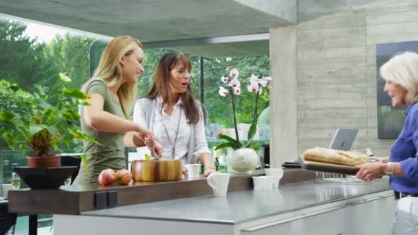 Familia y amigos preparando la comida — Vídeo de stock