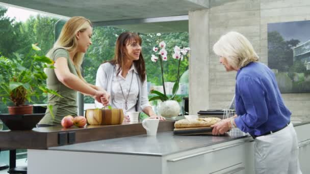 Familia y amigos preparando la comida — Vídeos de Stock