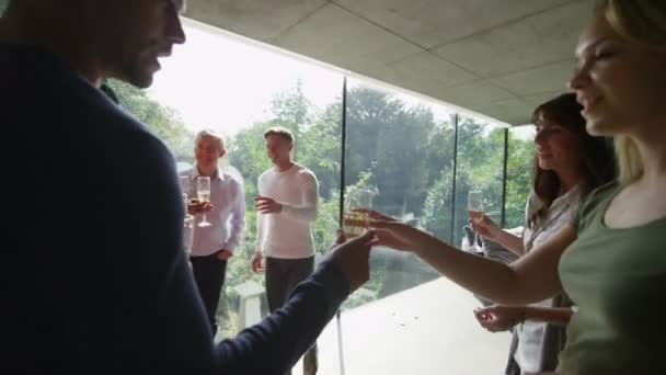 Geselligkeit und Wein trinken — Stockvideo