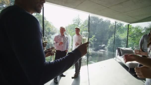 Vrienden, socialiseren en het drinken van wijn — Stockvideo