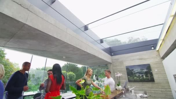 Group of people socializing  in contemporary home — Stock Video