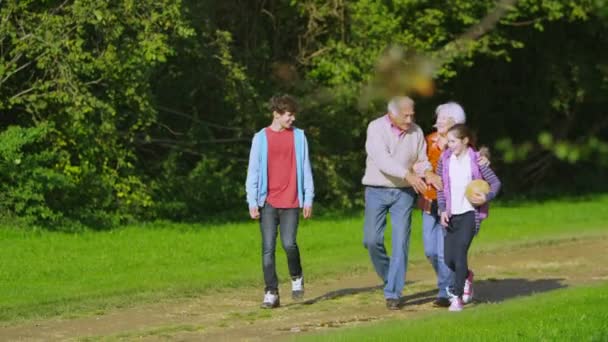 Бабушка и дедушка гуляют с внуками в сельской местности — стоковое видео